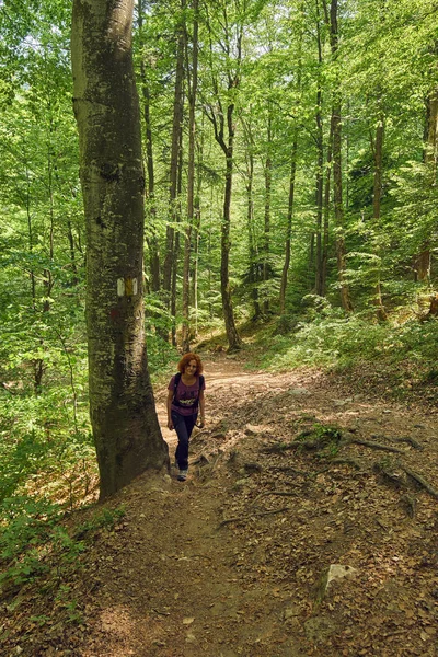 Mulher Caminhante Com Mochila Trilho Nas Montanhas — Fotografia de Stock