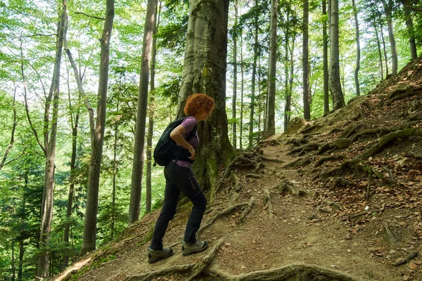 Kvinna Hiker Med Ryggsäck Ett Spår Bergen — Stockfoto