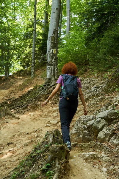 Vrouw Wandelaar Met Rugzak Een Parcours Bergen — Stockfoto