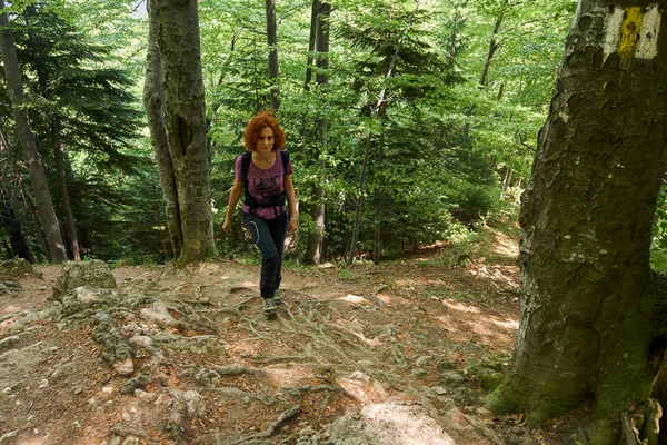 Mujer Excursionista Con Mochila Sendero Las Montañas —  Fotos de Stock