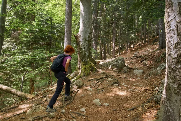 Dağlarda Bir Sırt Ile Kadın Uzun Yürüyüşe Çıkan Kimse — Stok fotoğraf