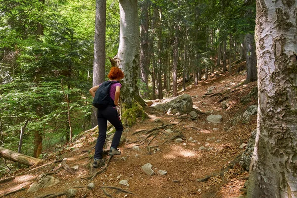 Mulher Caminhante Com Mochila Trilho Nas Montanhas — Fotografia de Stock