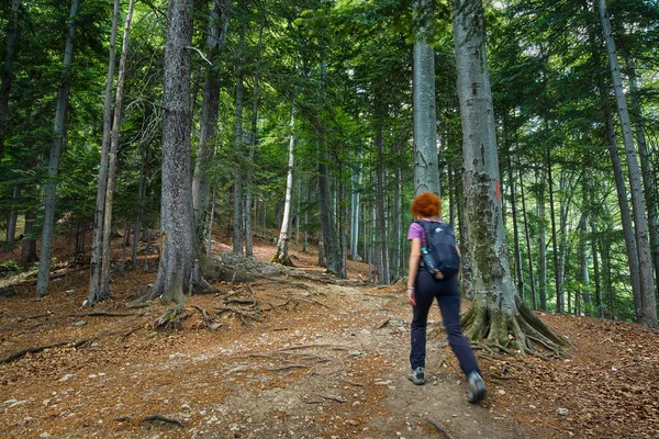 Kvinna Hiker Med Ryggsäck Ett Spår Bergen — Stockfoto