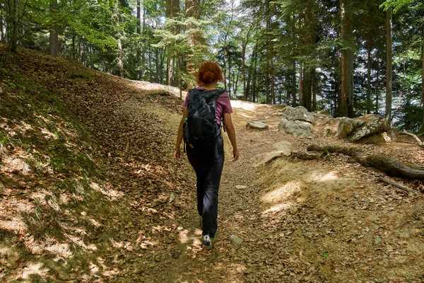 Mulher Caminhante Com Mochila Trilho Nas Montanhas — Fotografia de Stock