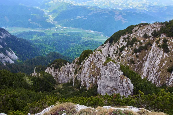 Paysage Avec Des Montagnes Calcaires Couvertes Forêts — Photo