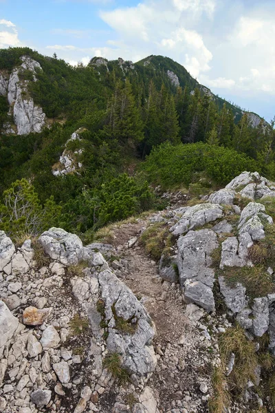 Paesaggio Con Montagne Calcaree Ricoperte Foreste — Foto Stock