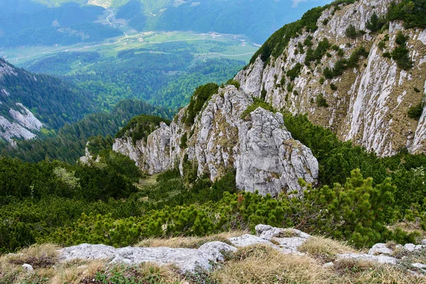 Krajobraz Wapienne Góry Pokryte Lasami — Zdjęcie stockowe