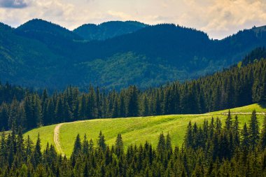 Orman ile bir yürüyüş iz ile dağların içine manzara