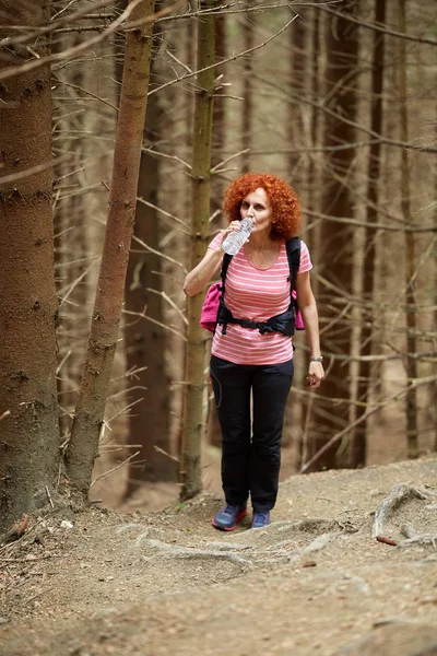 Wanderin Trinkt Nach Langer Anstrengung Wasser — Stockfoto