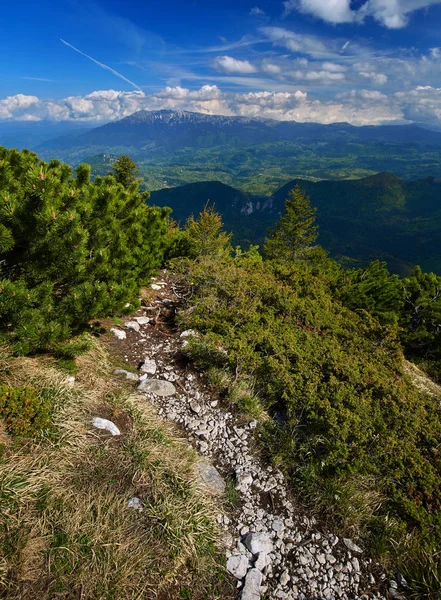 Manzara Mavi Gökyüzü Ile Büyük Rocky Dağları Ile Arka Plan — Stok fotoğraf