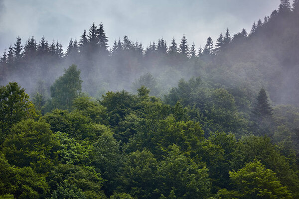 Beautiful landscape with Parang mountains in Romania in a foggy rainy day