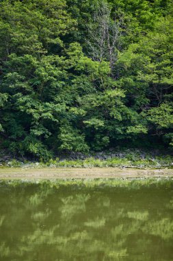 Orman ve dağlar Romanya sahil Olt Nehri üzerinde