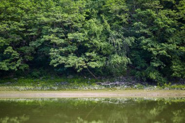 Orman ve dağlar Romanya sahil Olt Nehri üzerinde