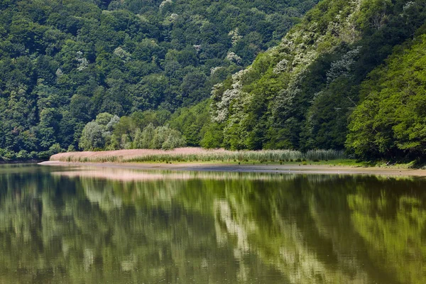 Bosque Montañas Orilla Del Río Olt Rumania — Foto de Stock