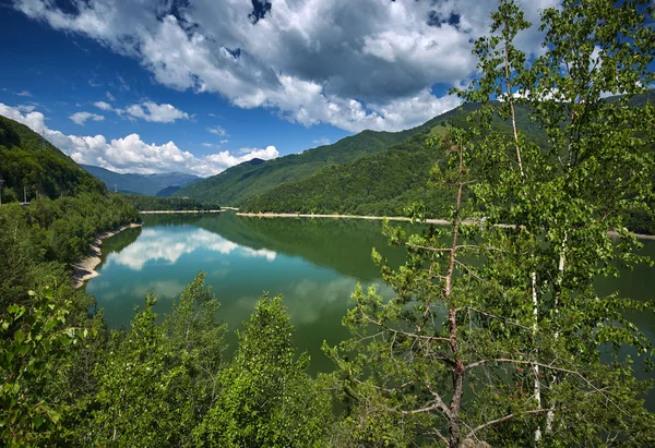 Mooi Landschap Met Olt Rivier Roemenië Omgeven Door Bos Bergen — Stockfoto