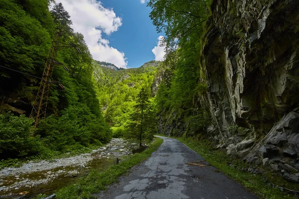 Une Gorge Très Étroite Dans Les Montagnes Carpates — Photo