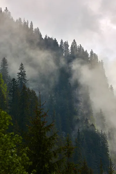 Beautiful Landscape Parang Mountains Romania Foggy Rainy Day — Stock Photo, Image