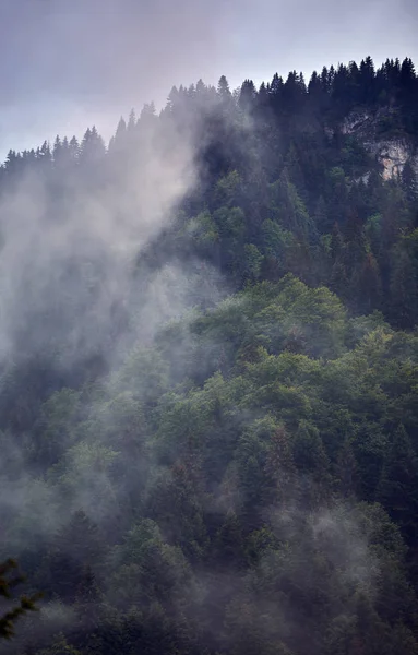 Bela Paisagem Com Montanhas Parang Romênia Dia Chuvoso Nebuloso — Fotografia de Stock