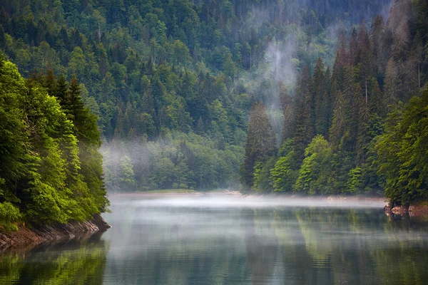 Bellissimo Paesaggio Con Lago Foresta Nebbiosa Montagna Una Giornata Pioggia — Foto Stock