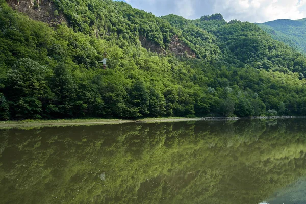 Forest Mountains Shore Olt River Romania — Stock Photo, Image
