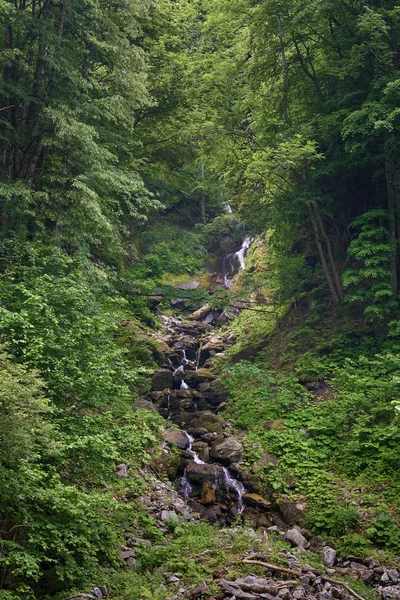 Швидка Річка Тече Через Ущелину Горах — стокове фото