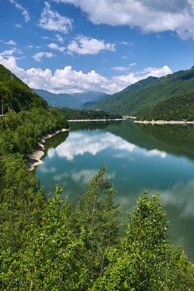 Beautiful Landscape Olt River Romania Surrounded Forest Mountains Stock Picture