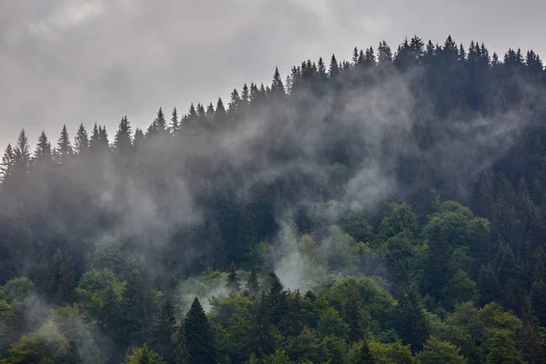 Vackert Landskap Med Parang Bergen Rumänien Dimmig Regniga Dag Stockfoto