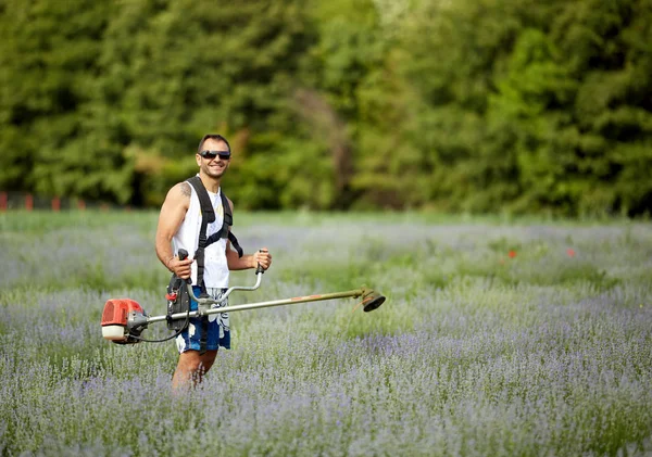 Mann Shirt Kurzer Hose Und Sonnenbrille Mäht Mit Freischneider Zwischen — Stockfoto