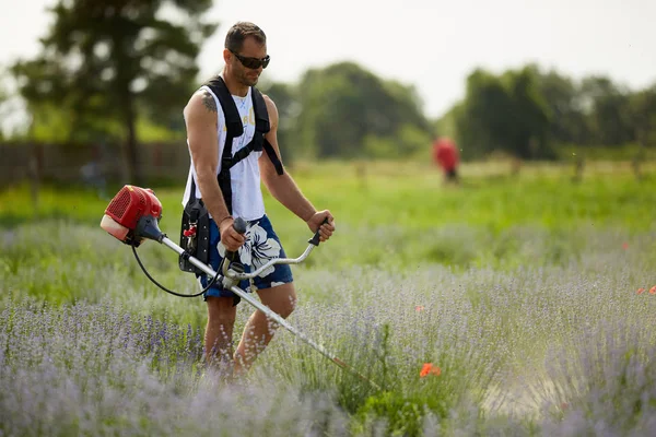 Uomo Shirt Pantaloncini Occhiali Sole Falciare Tra Righe Lavanda Con — Foto Stock