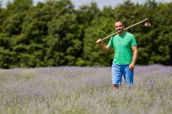 Leende Bonde Med Verktyget Står Mellan Rader Lavendel Plantation Solig — Stockfoto