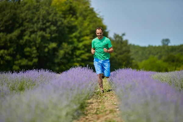 Boer Langs Lavendel Veld — Stockfoto