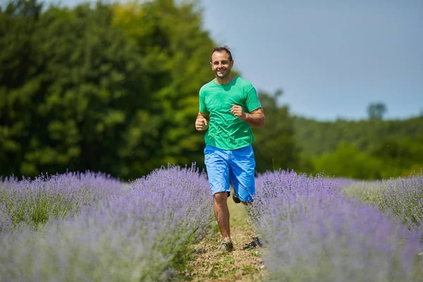 Granjero Corriendo Largo Campo Lavanda —  Fotos de Stock