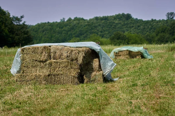 Brikett Kék Alatt Mező Széna Borított Ponyva — Stock Fotó