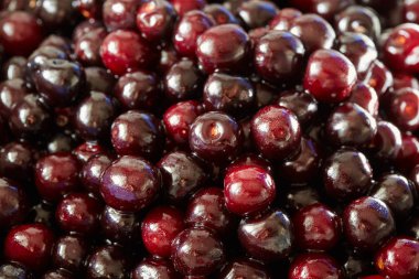 Vahşi acı kiraz, tam kare yığını