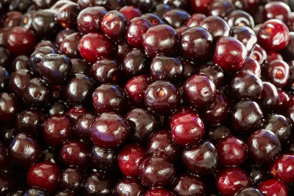 Heap Wild Bitter Cherries Full Frame — Stock Photo, Image