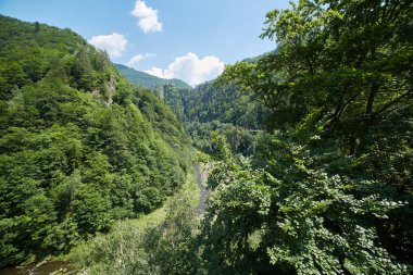 Dağları ile kaplı yemyeşil ormanları yaz aylarında manzara.