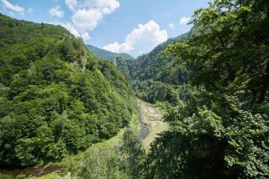 Dağları ile kaplı yemyeşil ormanları yaz aylarında manzara.