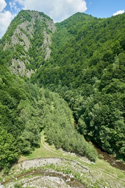 Paisagem Com Montanhas Cobertas Florestas Exuberantes Verão — Fotografia de Stock