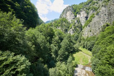 Yaz aylarında yemyeşil orman kaplı dağları, havadan görünümü
