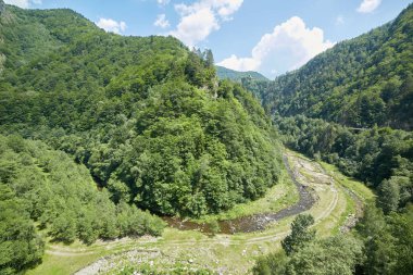 Yaz aylarında yemyeşil orman kaplı dağları, havadan görünümü