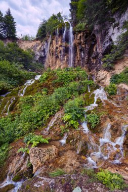 Yaz günü renkli şelale manzarası
