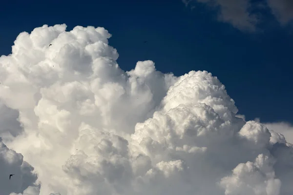 Cloudscape Com Grandes Nuvens Fofas Brancas Cinzentas Verão Imagem De Stock
