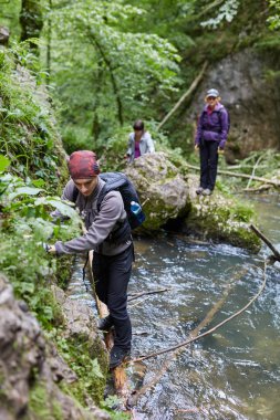 Bir grup insan dağ orman izinde hiking