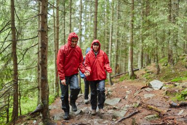 Doğal yeşil yaylaları'da yürüyüş genç çift 