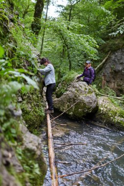 insanlar dağ orman izinde hiking