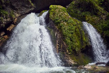 Şelale gorge ve yemyeşil bitki örtüsü doğal görünümü