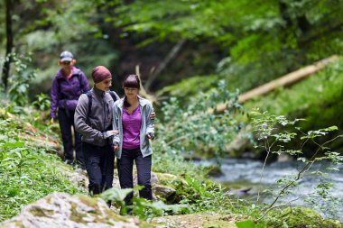 Bir grup insan dağ orman izinde hiking