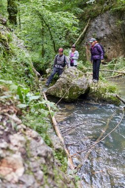 Bir grup insan dağ orman izinde hiking