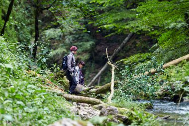insanlar dağ orman izinde hiking