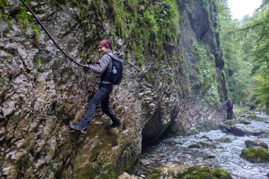 insanlar dağ orman tehlikeli izinde hiking